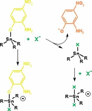 Anion exchange in trimethyl- and triphenyltin complexes with chromogenic ligands: solution equilibria and colorimetric anion sensing