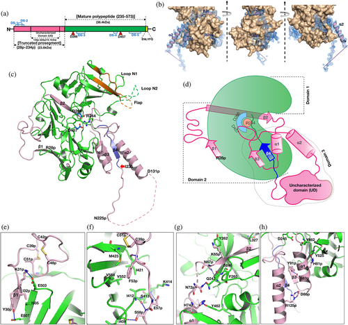 Details are in the caption following the image Details are in the caption following the image