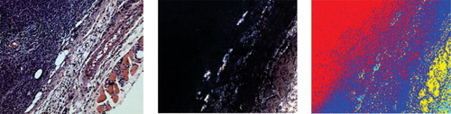Details are in the caption following the image