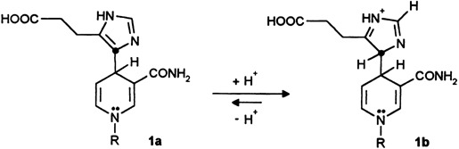 On the Mechanism of Action of Urocanase: Observation of the Enzyme-Bound NAD+ -Inhibitor Adduct by 13C NMR Spectroscopy