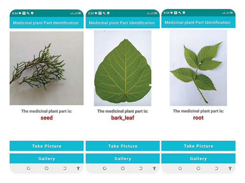 Details are in the caption following the image Details are in the caption following the image