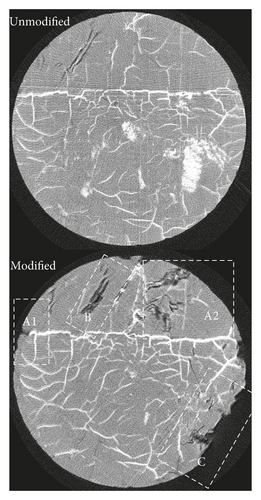 Details are in the caption following the image Details are in the caption following the image