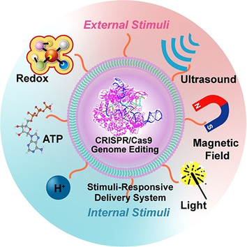 Spatiotemporal Delivery of CRISPR/Cas9 Genome Editing Machinery Using Stimuli-Responsive Vehicles