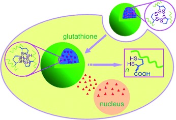 Reversibly Stabilized Multifunctional Dextran Nanoparticles Efficiently Deliver Doxorubicin into the Nuclei of Cancer Cells