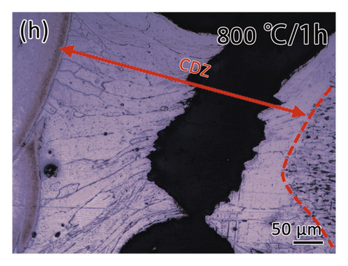 Details are in the caption following the image
