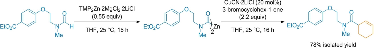 Preparation of Functionalized Amides Using Dicarbamoylzincs