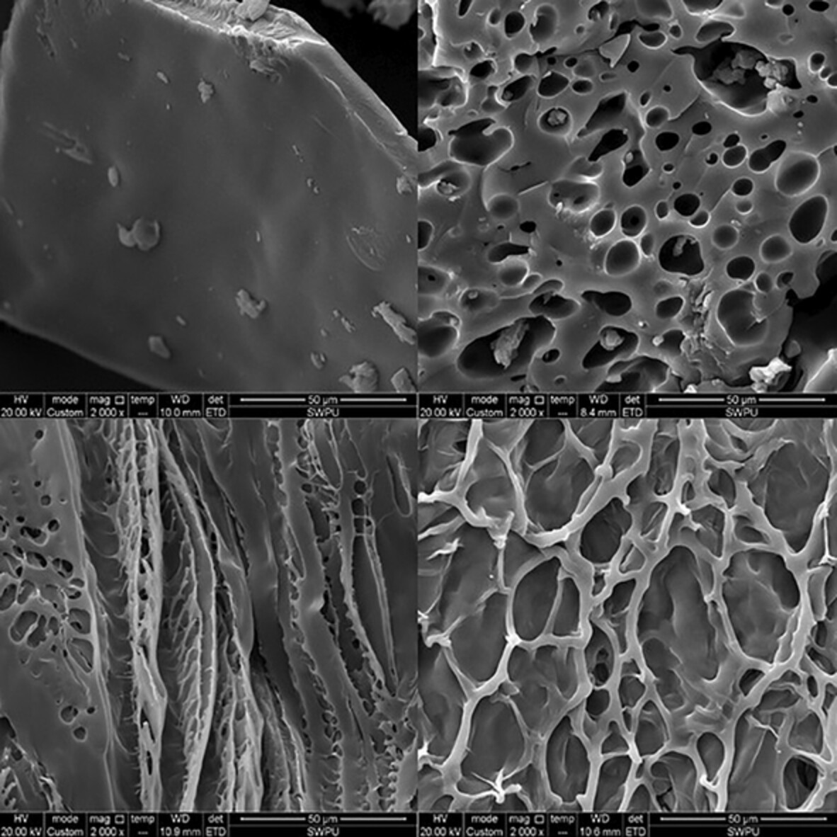 Synthesis of a low viscosity amphoteric polyacrylamide and its application in oilfield profile control