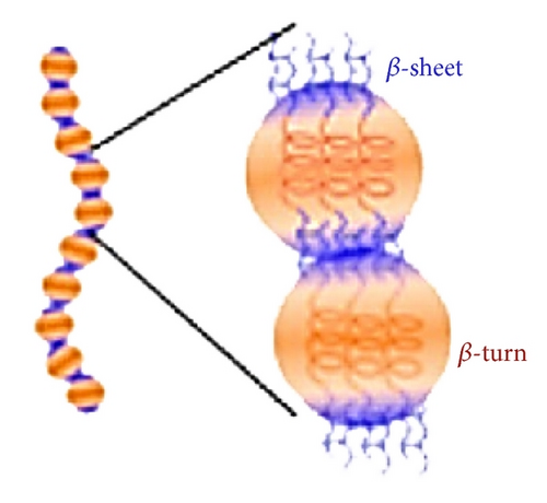 Details are in the caption following the image