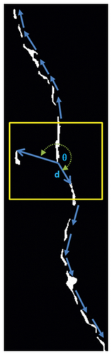Details are in the caption following the image