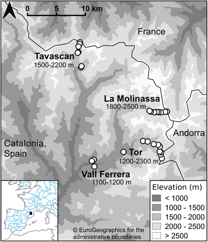 Details are in the caption following the image Details are in the caption following the image
