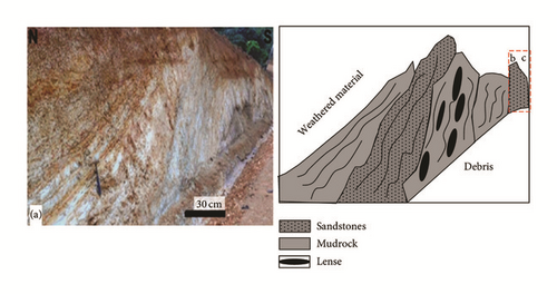 Details are in the caption following the image Details are in the caption following the image