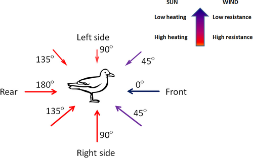 Details are in the caption following the image