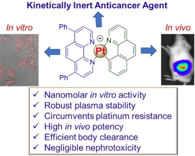 The Power of Kinetic Inertness in Improving Platinum Anticancer Therapy by Circumventing Resistance and Ameliorating Nephrotoxicity