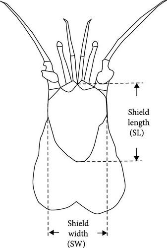 Details are in the caption following the image Details are in the caption following the image