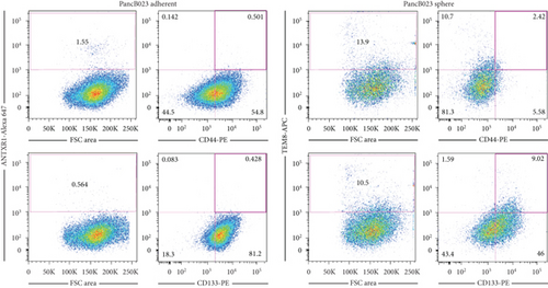 Details are in the caption following the image Details are in the caption following the image