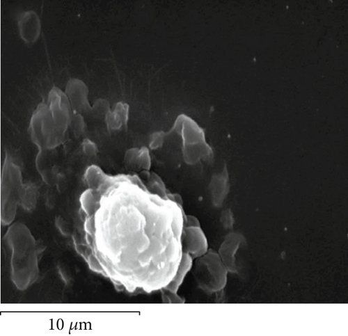 Details are in the caption following the image