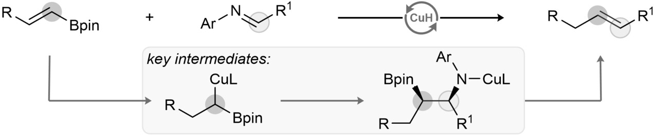 Stereoselective Copper-Catalyzed Olefination of Imines