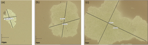 Details are in the caption following the image Details are in the caption following the image