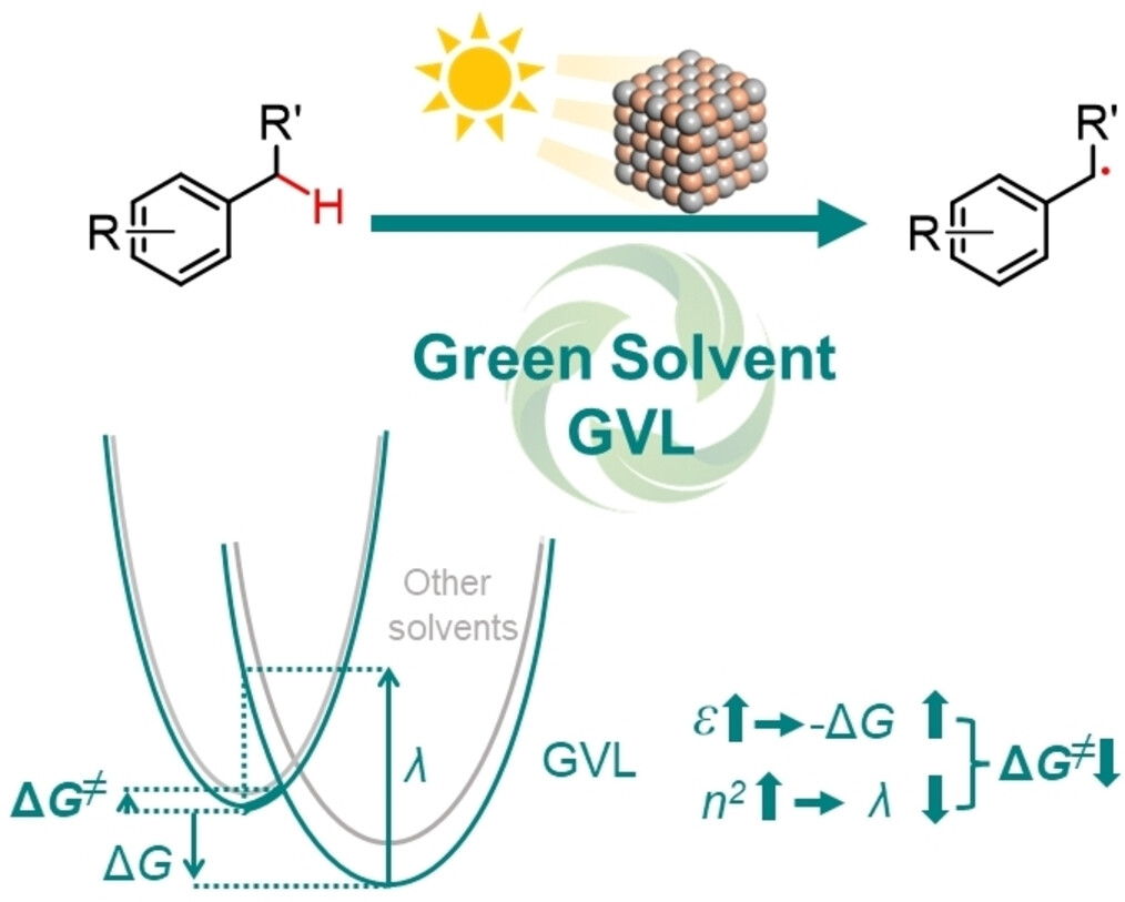 Green Solvent γ-Valerolactone (GVL) Facilitates Photocatalytic C−H Bond Activation
