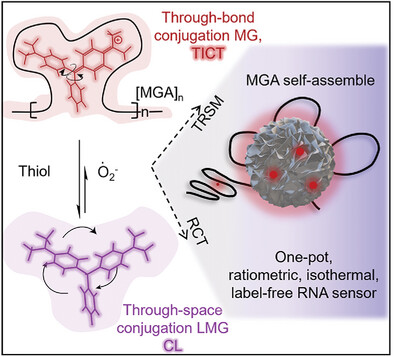 Aptamer and Thiol Co-Regulated Color-Shifting Fluorophores via Dynamic Through-Bond/Space Conjugation for Constructing Ratiometric RNA Sensor