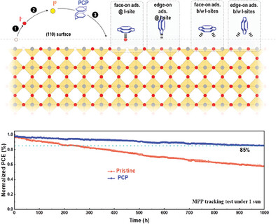 Iodine Stabilization in Perovskite Lattice for Internal Stress Relief