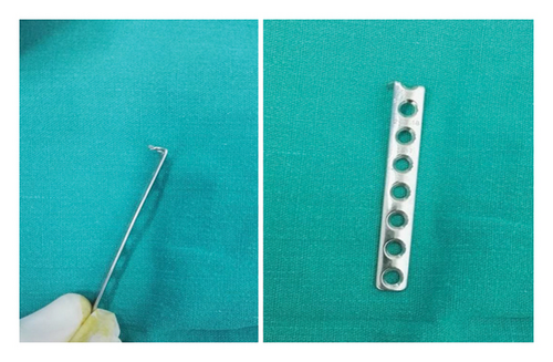 Details are in the caption following the image Details are in the caption following the image