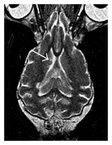Details are in the caption following the image