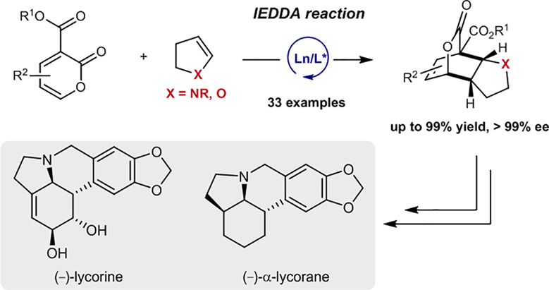 An Enantioselective Approach to Heteroatom-Containing Bicyclic Derivatives via Inverse-Electron-Demand Diels−Alder Reactions