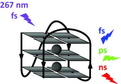Electronic Excitations in G-quadruplexes Formed by the Human Telomeric Sequence: A Time-Resolved Fluorescence Study