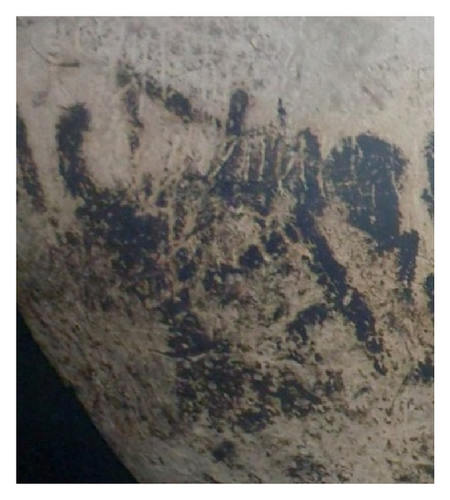 Details are in the caption following the image