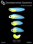 Developmental Dynamics