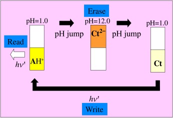 Thermal and Photochemical Properties of 4′,7-Dihydroxyflavylium in Water–Ionic Liquid Biphasic Systems: A Write–Read–Erase Molecular Switch