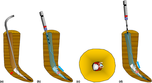 Details are in the caption following the image Details are in the caption following the image