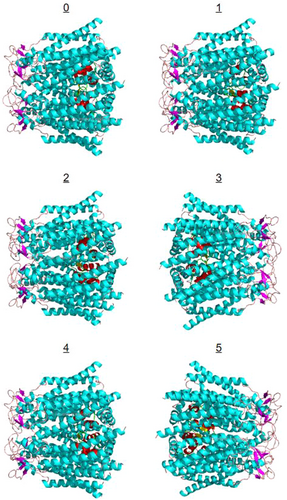 Details are in the caption following the image Details are in the caption following the image