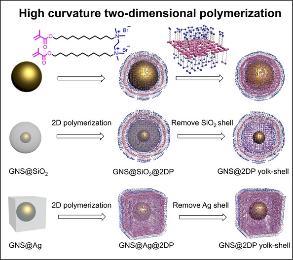 Two-Dimensional Polymer Networks Locking on Inorganic Nanoparticles