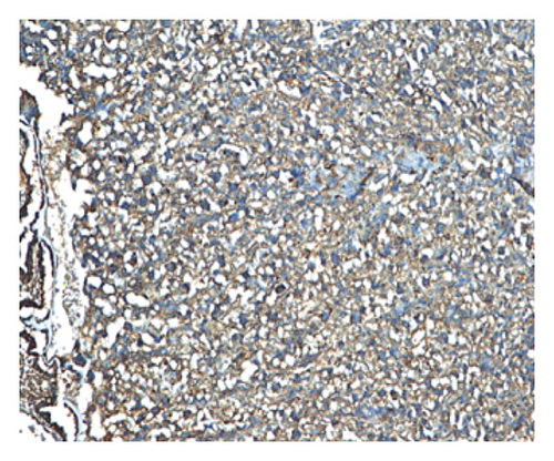 Details are in the caption following the image