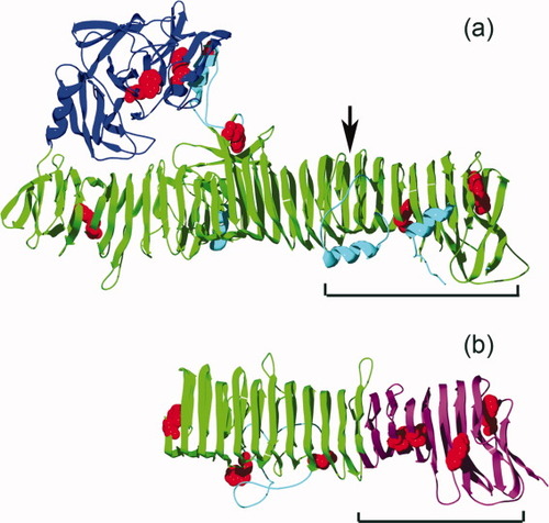 Details are in the caption following the image