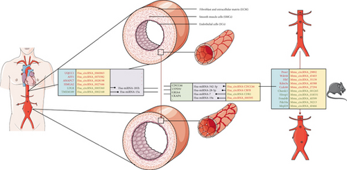 Details are in the caption following the image Details are in the caption following the image