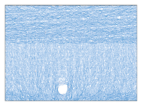 Details are in the caption following the image Details are in the caption following the image