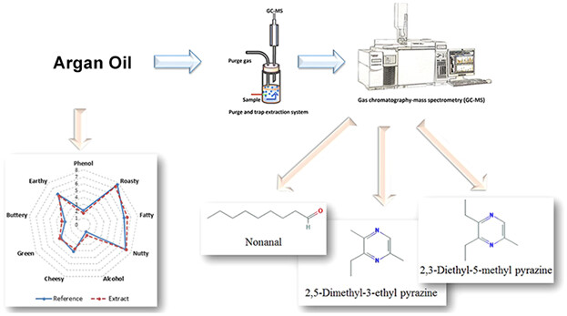 Characterization of Key Odorants in Moroccan Argan Oil by Aroma Extract Dilution Analysis