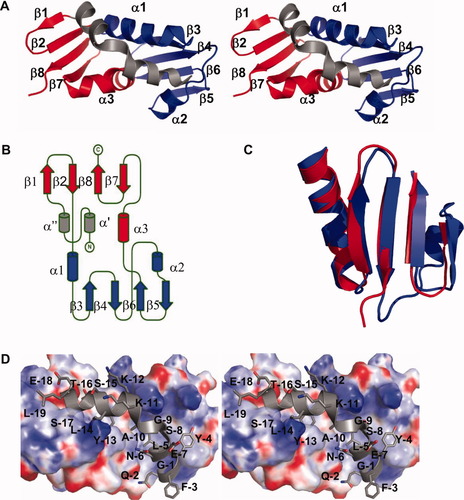 Details are in the caption following the image