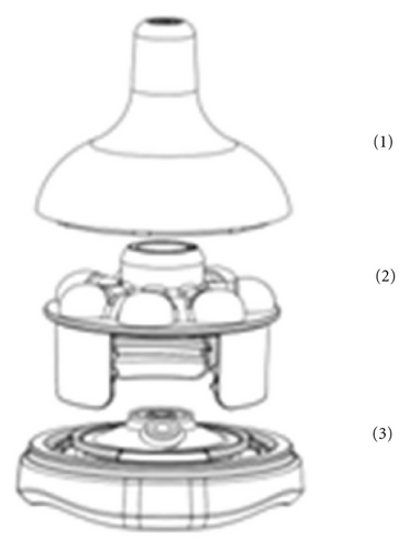 Details are in the caption following the image Details are in the caption following the image