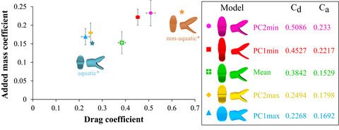 Exploring the functional meaning of head shape disparity in aquatic snakes
