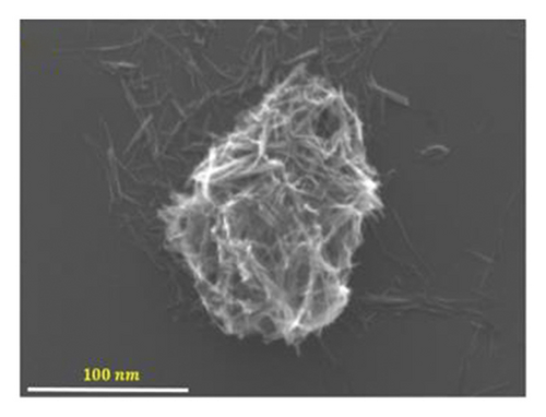Details are in the caption following the image