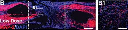 Details are in the caption following the image
