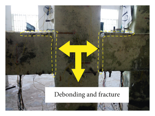 Details are in the caption following the image Details are in the caption following the image