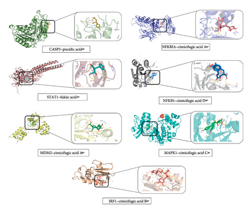 Details are in the caption following the image Details are in the caption following the image