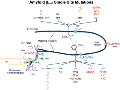 How Single Site Mutations Can Help Understanding Structure Formation of Amyloid β1−40