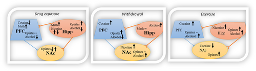 Details are in the caption following the image Details are in the caption following the image