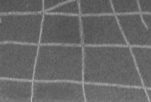 Self-Assembled, Deterministic Carbon Nanotube Wiring Networks
